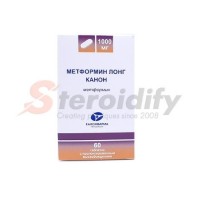 Metformin LONG Kanonpharma